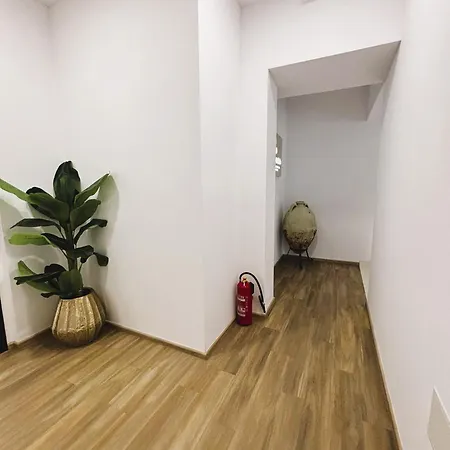 At 8 * 스플리트